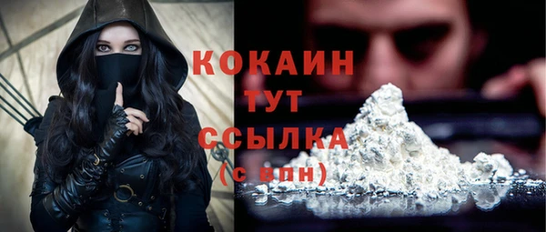 МДПВ Инсар