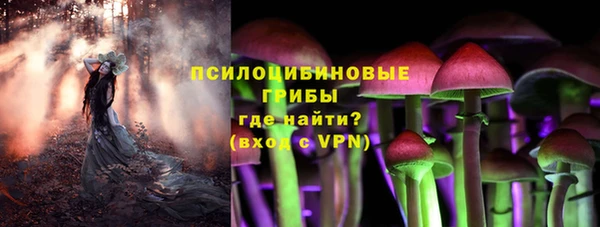 стафф Каменка