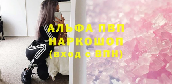 стафф Каменка