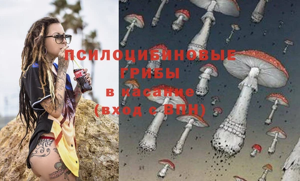 стафф Каменка