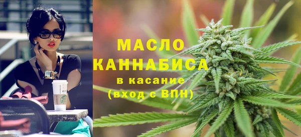 МДПВ Инсар