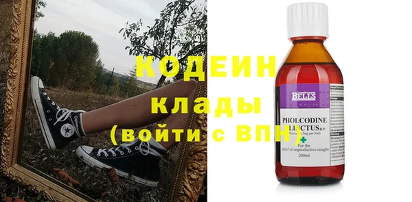 стафф Каменка