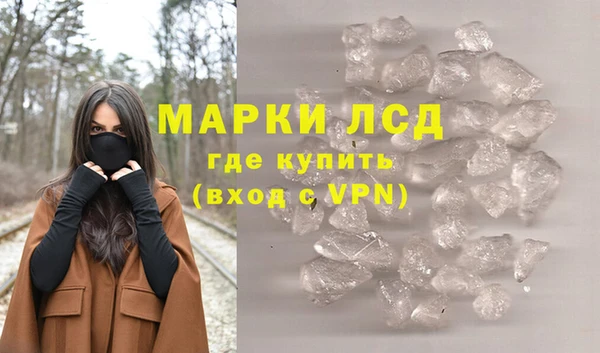 стафф Каменка