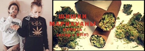стафф Каменка