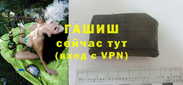 стафф Каменка